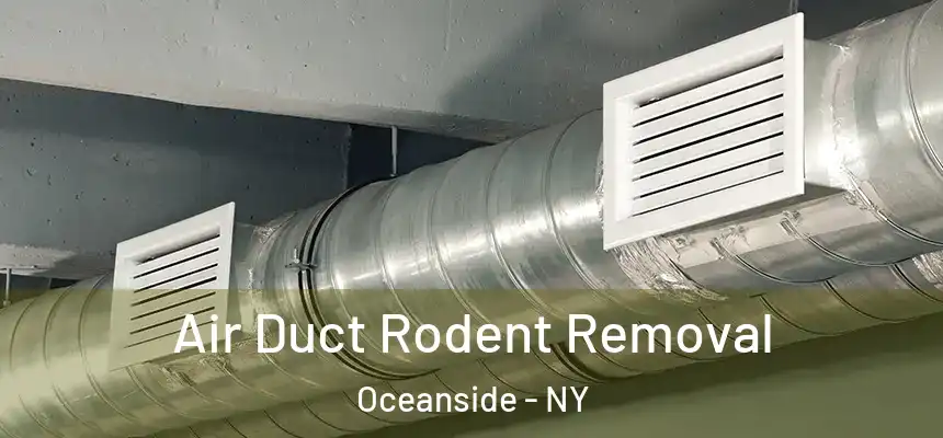  Air Duct Rodent Removal Oceanside - NY
