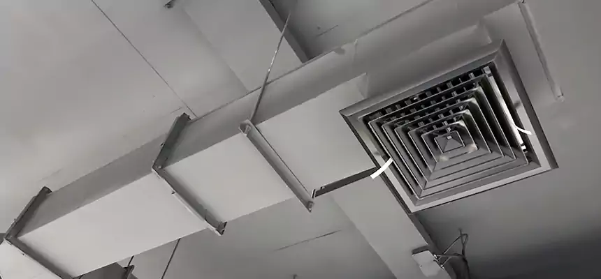 Our Rodent Droppings In Vents Services in Oceanside, NY