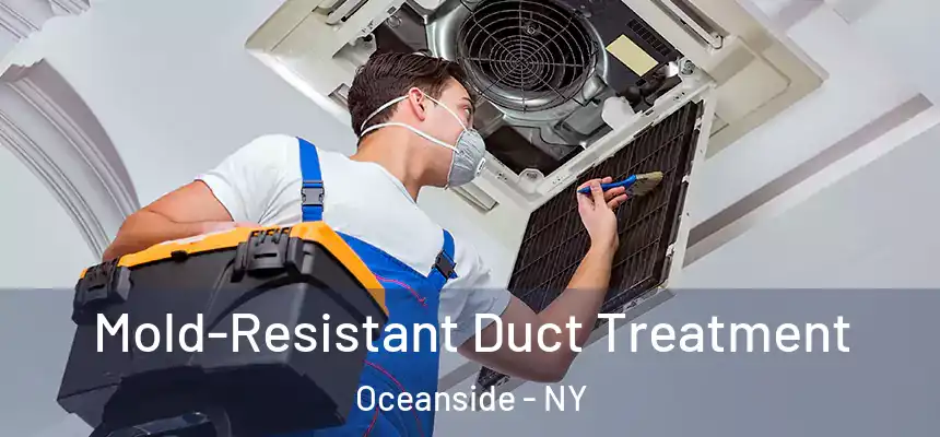  Mold-Resistant Duct Treatment Oceanside - NY