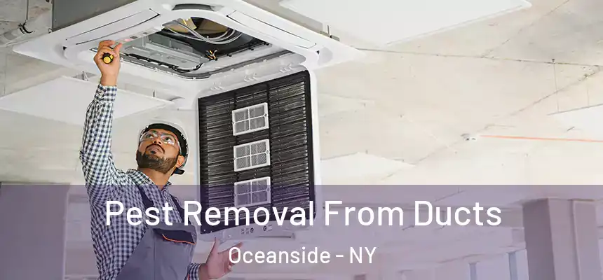  Pest Removal From Ducts Oceanside - NY