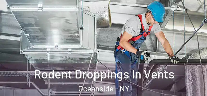 Rodent Droppings In Vents Oceanside - NY