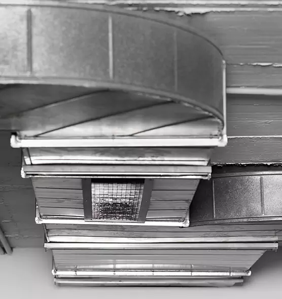 Professional Air Duct Pet Hair Removal in Oceanside, NY