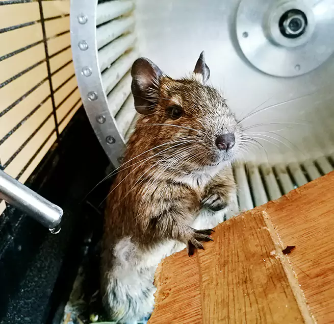 Why Homeowners & Businesses Trust Us Oceanside, NY?