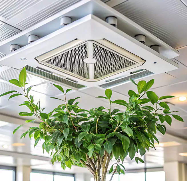 Why Homeowners & Businesses Trust Us in Oceanside, NY?